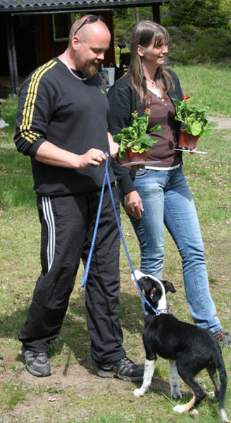 bild73