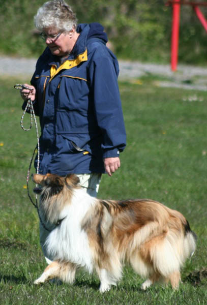 bild80