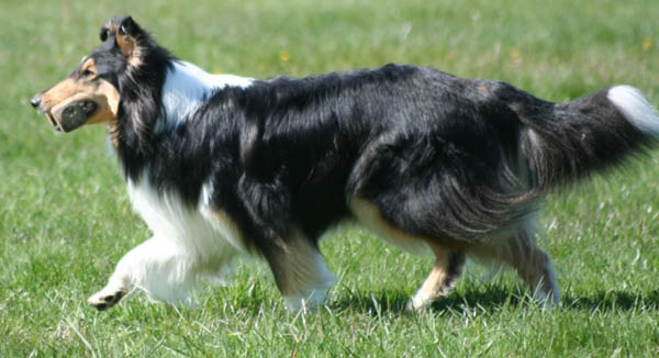 bild81