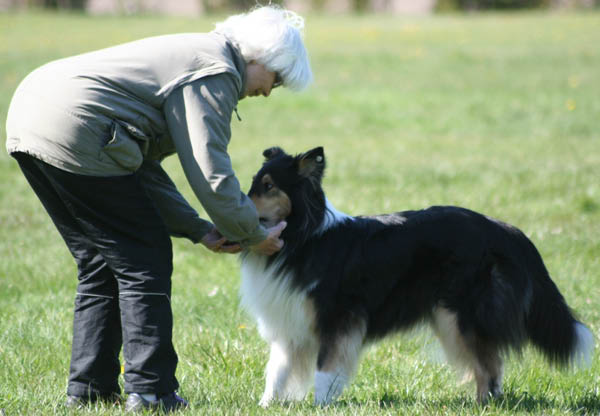 bild82