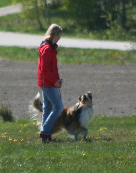 bild89