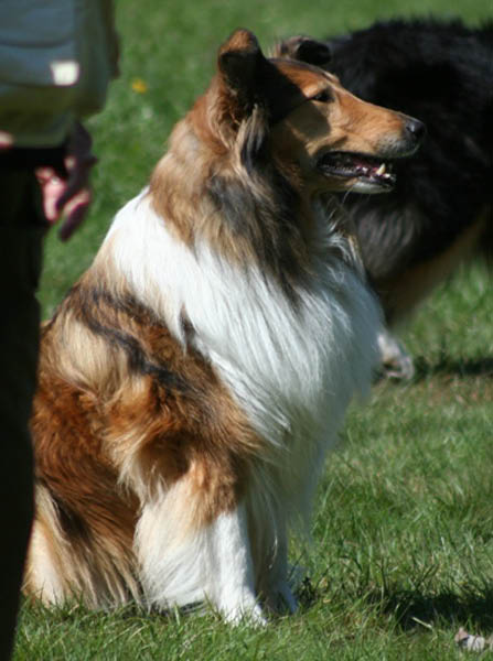 bild90