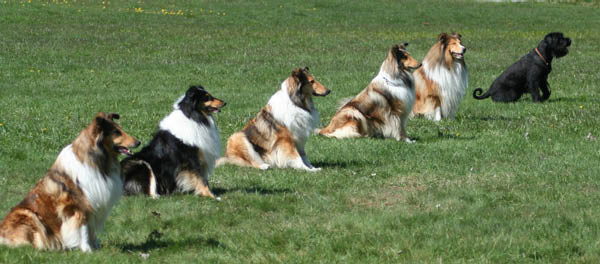 bild91