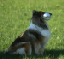 bild11