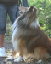 bild14