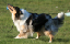 bild15
