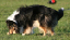 bild18