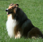 bild19