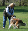 bild20