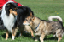 bild22