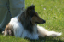 bild29