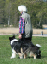 bild38
