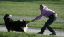 bild4