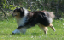 bild41