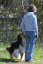 bild42