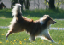 bild51