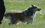 bild52