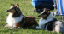 bild6