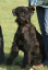 bild7