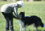 bild82