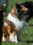 bild90