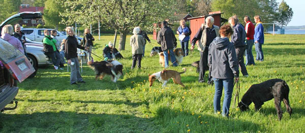 bild1