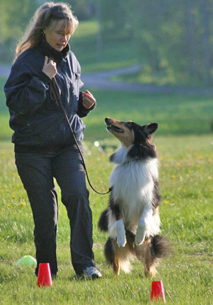 bild13