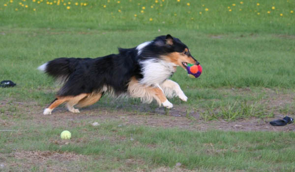 bild15
