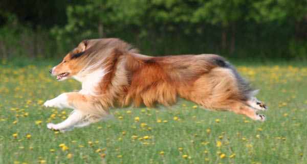bild23