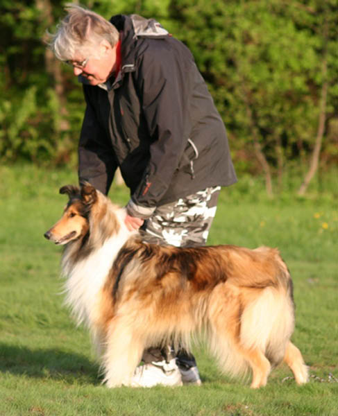 bild29