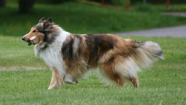 bild33