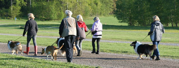 bild4