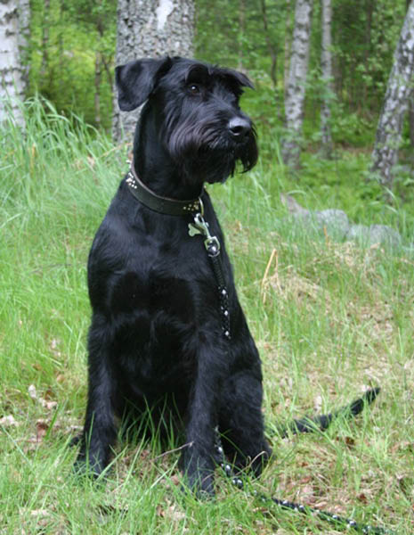 bild45