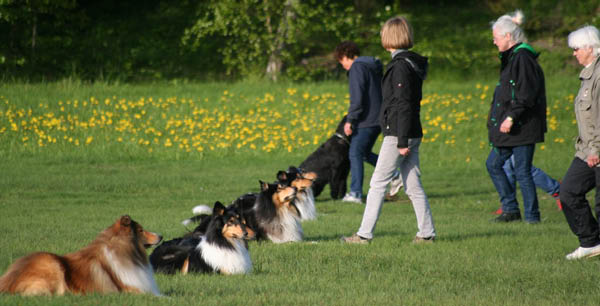 bild5