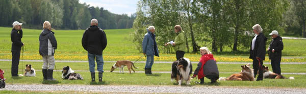 bild54