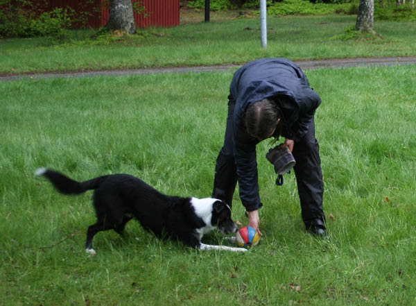 bild60