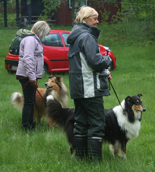 bild64