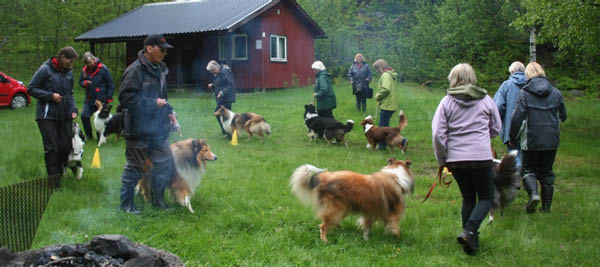bild66