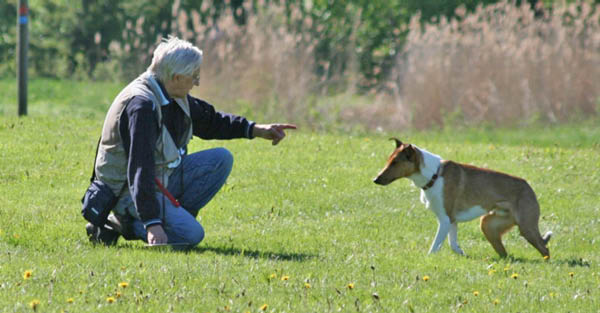 bild80