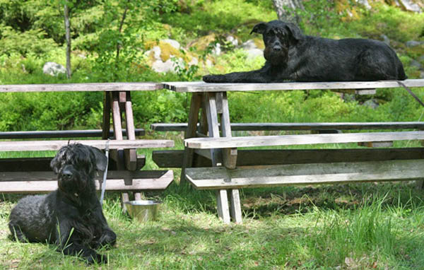 bild89