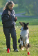 bild13