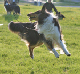 bild14