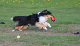 bild15