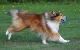 bild16