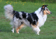 bild17