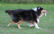 bild18