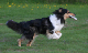 bild19