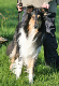 bild2