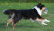 bild20
