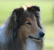 bild3